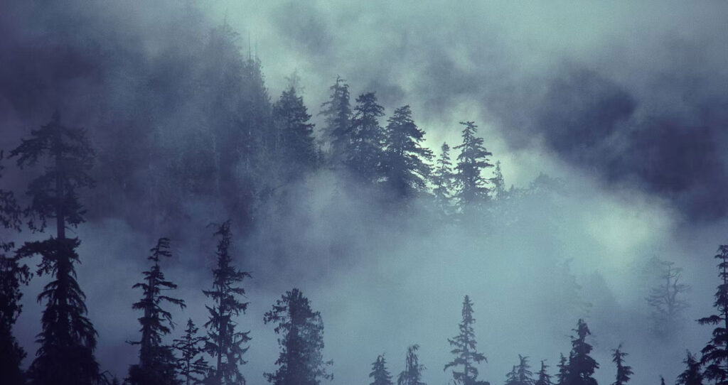 Avoin dialogi ja tuntemattoman pelko