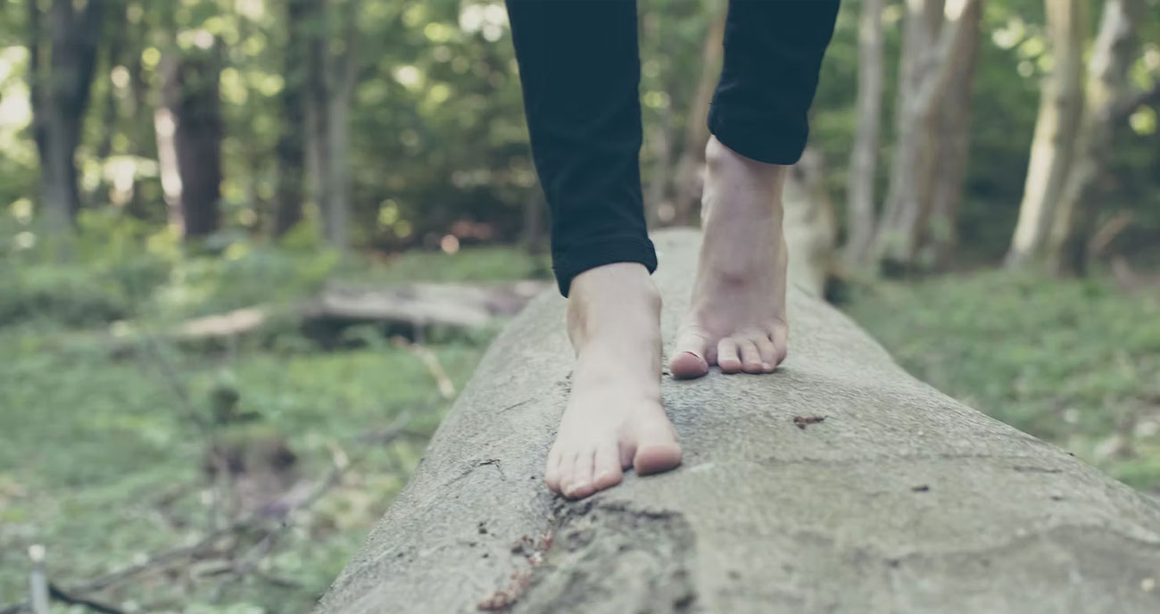 Keho–mieli-yhteys – kehotietoisuus suuntaviittana