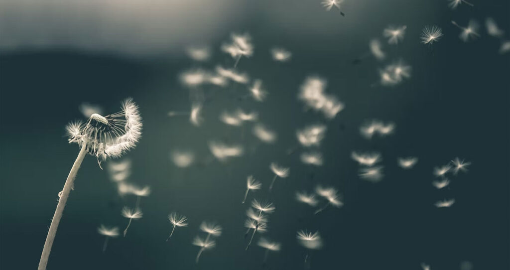 Selma Gaily-Luoma: Ymmärrys itsetuhoisuudesta rohkaisee ammattilaista dialogiin